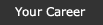 your career